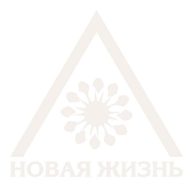 Новая Жизнь